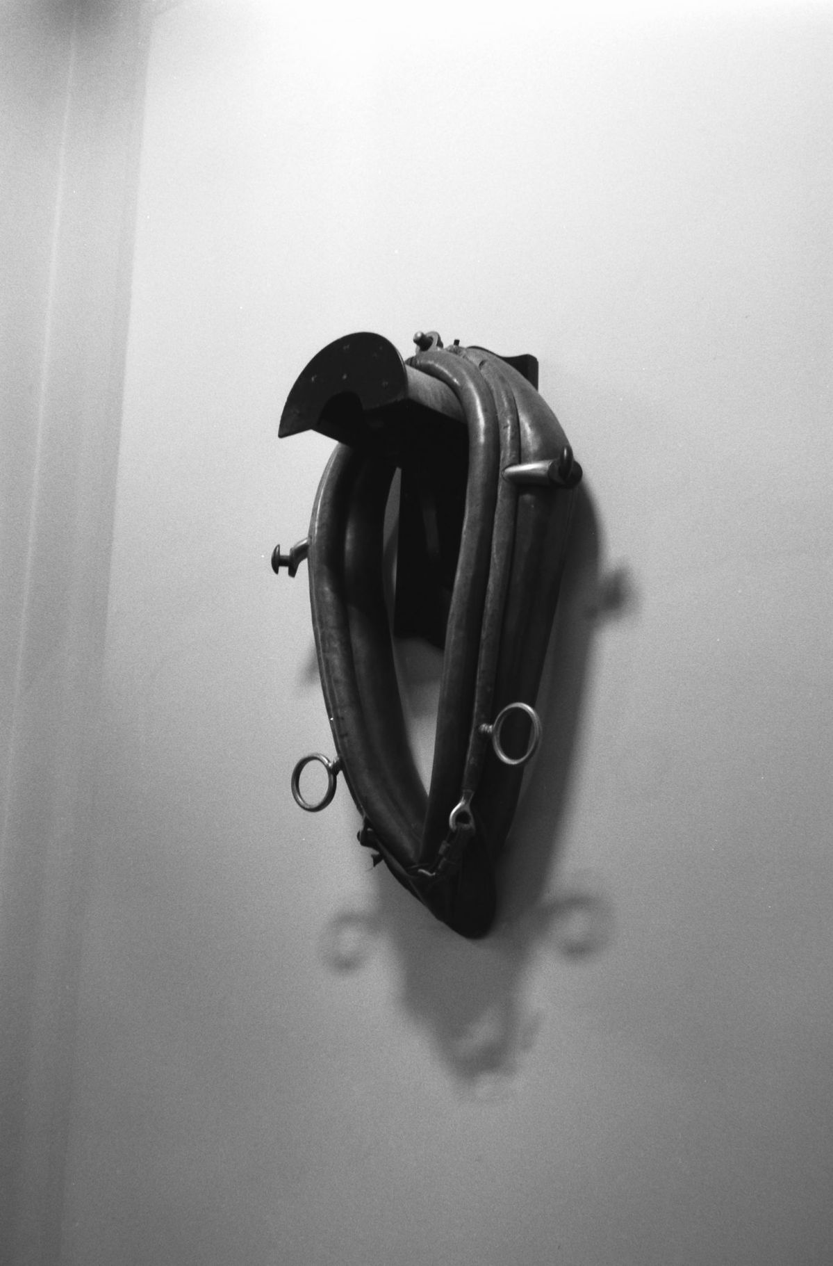 Leather bridle crafted by Alfa Saddlery